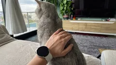 Hvorfor vender en kat sin bagdel mod sin ejers ansigt? En eksperts syn på adfærd