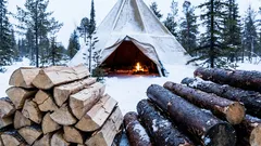 Hvorfor bruger nordboere vådt træ i stedet for tørt træ?