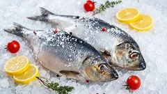 Hvordan miniakvariemetoden holder dine fisk næsten lige så friske som i havet.