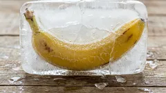 Hvorfor du bør fryse og opbevare bananer, og hvordan du kan bruge dem senere