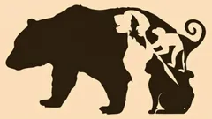 Denne billedtest hjælper dig med at afgøre, hvilke træk der dominerer hos dig, og hvad der hindrer dig i at kommunikere med andre.